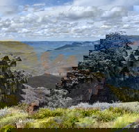Blue Mountains Private Tour - wild kangaroos waterfalls and The Three Sisters - Hobart Tourism