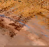 Scenic Flight Lizard Safari - Tourism TAS