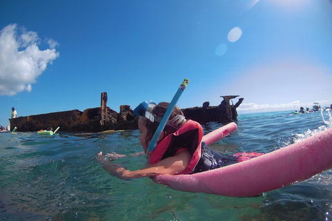 All Inclusive Dolphin And Tangalooma Wrecks Cruise - Tourism TAS 2