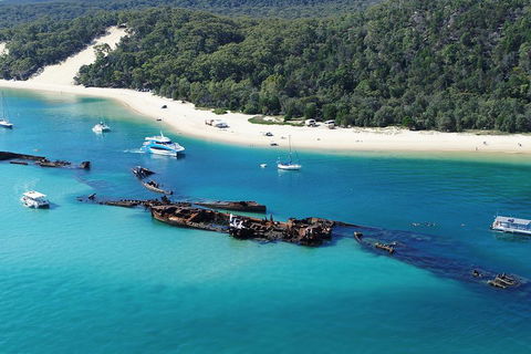 All Inclusive Dolphin And Tangalooma Wrecks Cruise - Tourism TAS 4