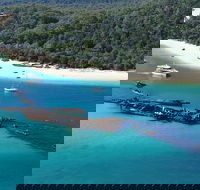 All Inclusive Tangalooma Wrecks Cruise Tour From Gold Coast - Tourism TAS