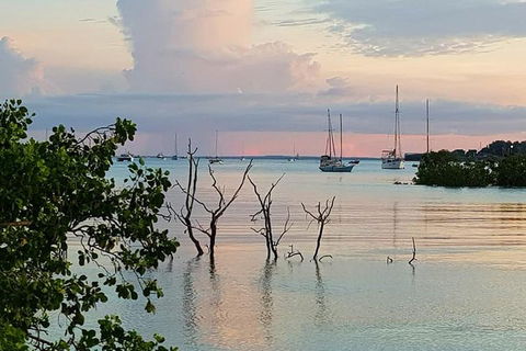 Tropical Light Sundowner Cruise With Drinks Included - Tourism TAS 2