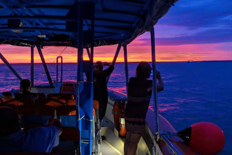 Tropical Light Sundowner Cruise With Drinks Included - Tourism TAS 5