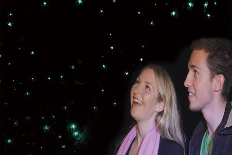 Natural Bridge Glow Worm Night Tour From Gold Coast - Tourism TAS 3