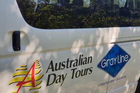 Natural Bridge Glow Worm Night Tour From Gold Coast - Tourism TAS 5