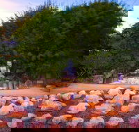 Byron Bay and the Crystal Castle Day Tour from Gold Coast - Tourism TAS