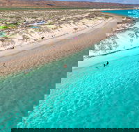 Ningaloo in a Day - Full Day Hike and Snorkel Tour with Lunch - Hobart Tourism