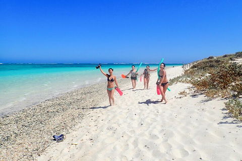 Ningaloo In A Day - Full Day Hike And Snorkel Tour With Lunch - Hobart Tourism 1