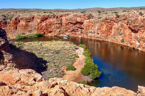 Ningaloo In A Day - Full Day Hike And Snorkel Tour With Lunch - Hobart Tourism 2