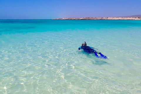 Ningaloo In A Day - Full Day Hike And Snorkel Tour With Lunch - Hobart Tourism 4