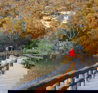 LGBT Friendly 3 Day Private Tour Great Ocean Road  Phillip Island - Hobart Tourism