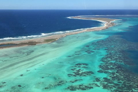 Pink Lake + Abrolhos Islands Nature Tour - Hobart Tourism 2