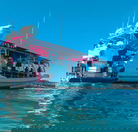 Best of Moreton Bay Cruise - Tourism TAS