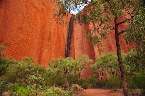 Uluru Sunrise And Guided Base Walk - Tourism TAS 3