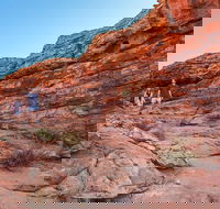 Kings Canyon Guided Rim Walk - Hobart Tourism
