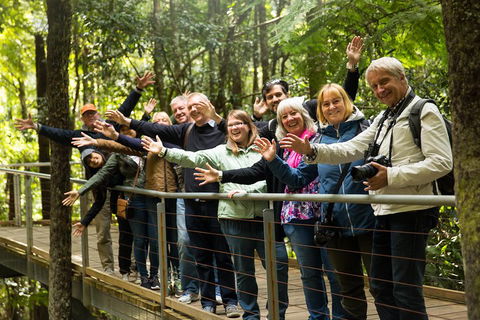 All Inclusive Blue Mountains Small-Group Day Trip From Sydney - Hobart Tourism 5