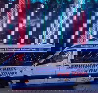 Evening Rainforest  Glow Worm Experience - Tourism TAS