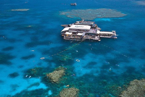 Quicksilver Outer Great Barrier Reef Snorkel Cruise From Palm Cove - Tourism TAS 1