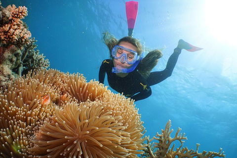 Quicksilver Outer Great Barrier Reef Snorkel Cruise From Palm Cove - Tourism TAS 2
