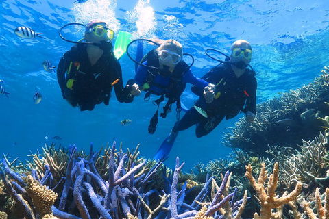 Quicksilver Outer Great Barrier Reef Snorkel Cruise From Palm Cove - Tourism TAS 3