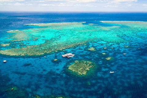 Quicksilver Outer Great Barrier Reef Snorkel Cruise From Palm Cove - Tourism TAS 4