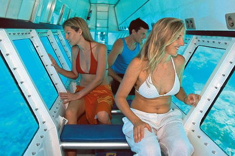 Quicksilver Outer Great Barrier Reef Snorkel Cruise From Palm Cove - Tourism TAS 5