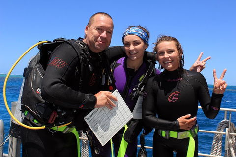 Quicksilver Dive 4 Day PADI Learn To Dive Course - Tourism TAS 0
