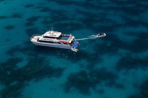 Quicksilver Dive 4 Day PADI Learn To Dive Course - Tourism TAS 1