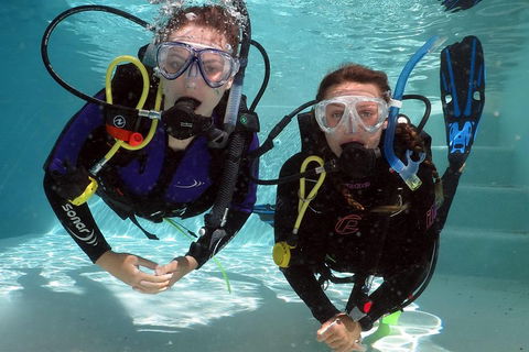Quicksilver Dive 4 Day PADI Learn To Dive Course - Tourism TAS 2
