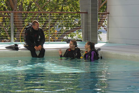 Quicksilver Dive 4 Day PADI Learn To Dive Course - Tourism TAS 3
