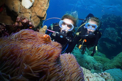 Quicksilver Dive 4 Day PADI Learn To Dive Course - Tourism TAS 4