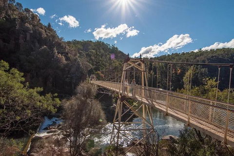Launceston Private Charter Service - Hobart Tourism 5