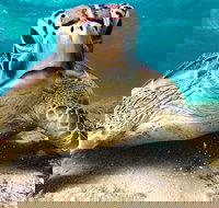 Sail Snorkel SUP  Kayak Charter Whitsundays - Tourism TAS