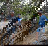 Fully guided E-Mountain Bike Tour on the beautiful Mornington Peninsula. - Tourism TAS