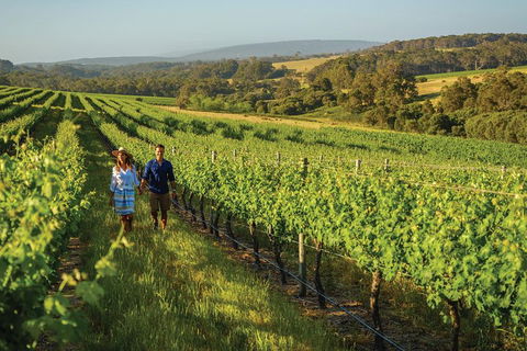 6 Days Perth All-Inclusive Touring Package With Wildflowers ( Seasonal) - Hobart Tourism 4