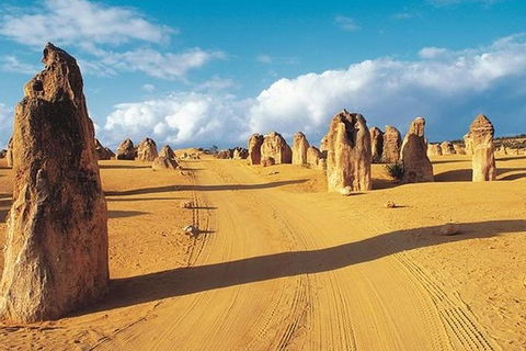 6 Days Perth All-Inclusive Touring Package With Wildflowers ( Seasonal) - Hobart Tourism 5