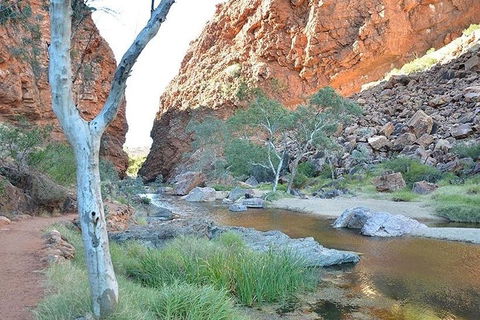 Alice Springs, Uluru Ayers Rock & Kings Canyon 8 Days Touring Package - Hobart Tourism 2