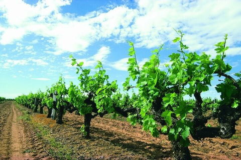 7 Days Perth All-Inclusive Touring Grand Package - Hobart Tourism 2