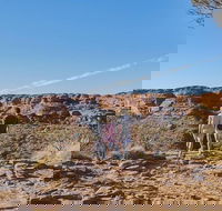 The Amazing Kings Canyon 4-Hours Walking Tour and Hike - Hobart Tourism
