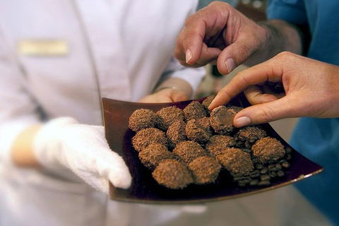 Explore Adelaide City Tour: Haigh's Tasting Chocolate & Adelaide Oval Tour - Tourism TAS 2