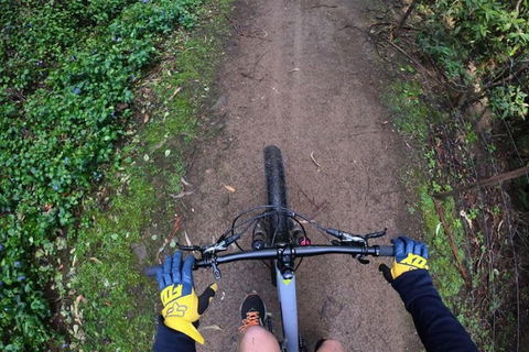 Explore Downhill Mountain In 3-Hour Bike Tour From Hobart - Tourism TAS 2