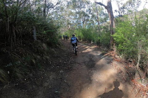 Explore Downhill Mountain In 3-Hour Bike Tour From Hobart - Tourism TAS 3