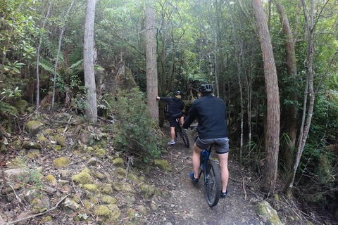 Explore Downhill Mountain In 3-Hour Bike Tour From Hobart - Tourism TAS 4