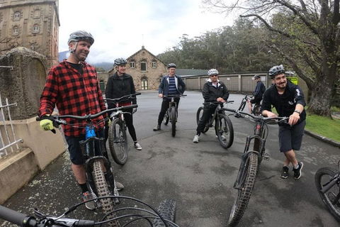 Explore Downhill Mountain In 3-Hour Bike Tour From Hobart - Tourism TAS 5