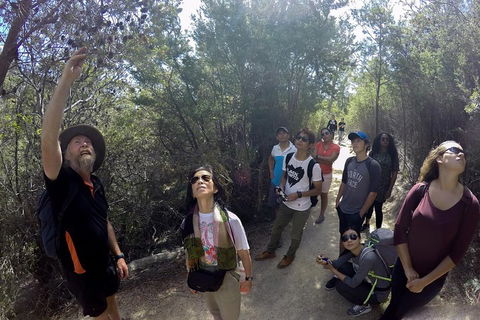 Active Day Tour One-Way From Launceston To Hobart Via Wineglass Bay - Hobart Tourism 0