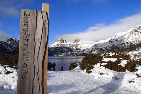 Cradle Mountain Active Day Trip From Launceston - Hobart Tourism 3