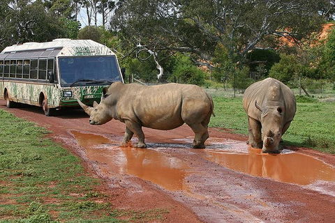The Ultimate Melbourne Attractions Pass - Hobart Tourism 4