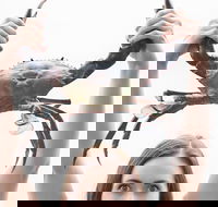 The Ultimate Gold Coast Attractions Pass - Tourism TAS