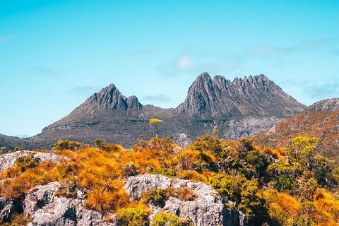 Cradle Mountain National Park Day Tour From Launceston - Hobart Tourism 1