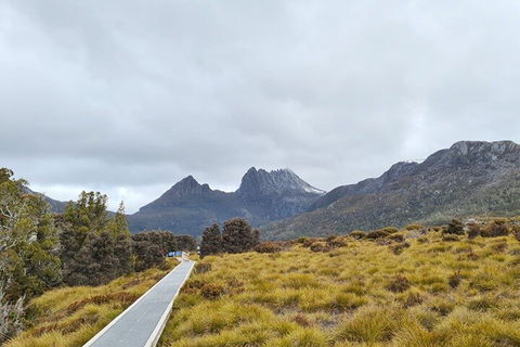 Cradle Mountain National Park Day Tour From Launceston - Hobart Tourism 2